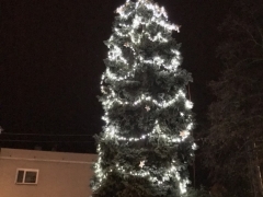 Rozsvícení Vánočního stromu 2018