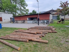 obrzek-whatsapp-2025-05-06-v-20-11-57_b06fcf3d