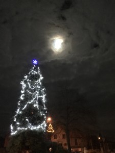 IMG_0866